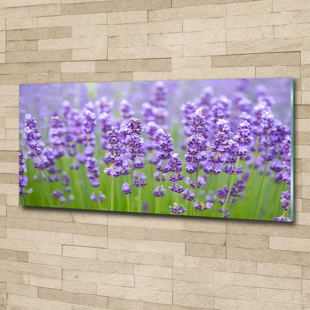 Wall art on glass Lavender