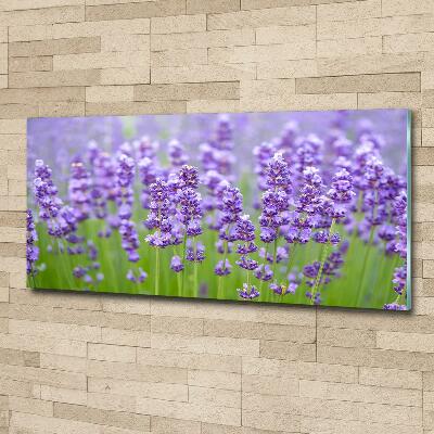 Wall art on glass Lavender