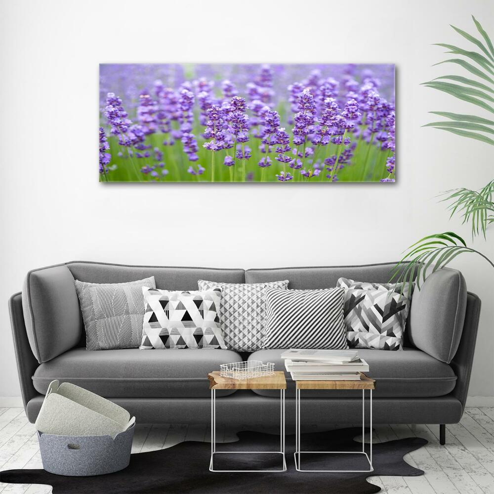 Wall art on glass Lavender