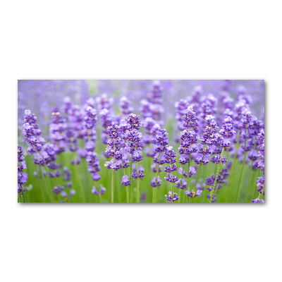 Wall art on glass Lavender