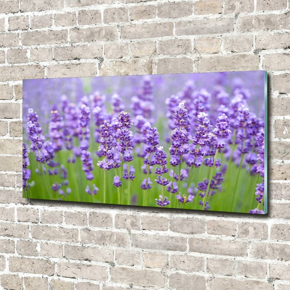 Wall art on glass Lavender