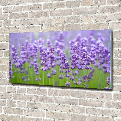 Wall art on glass Lavender