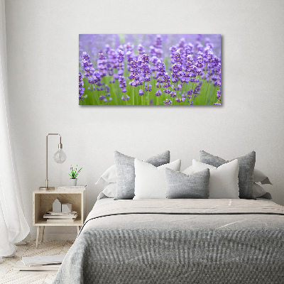 Wall art on glass Lavender