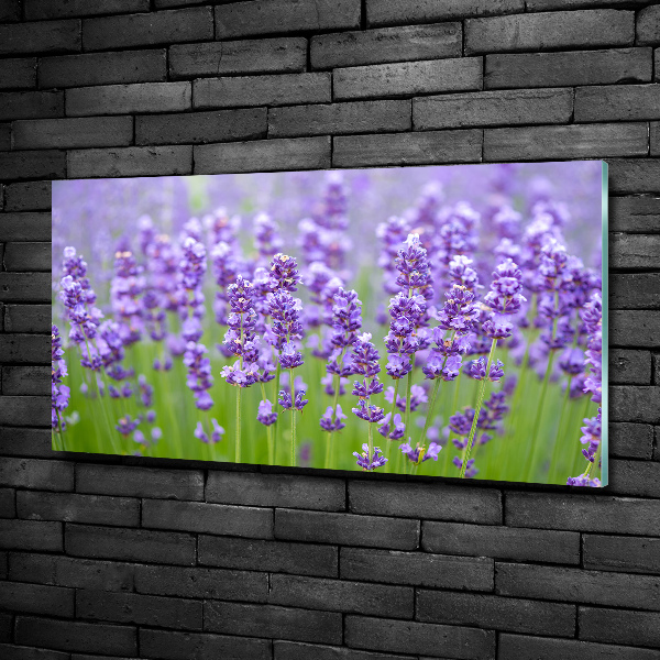 Wall art on glass Lavender