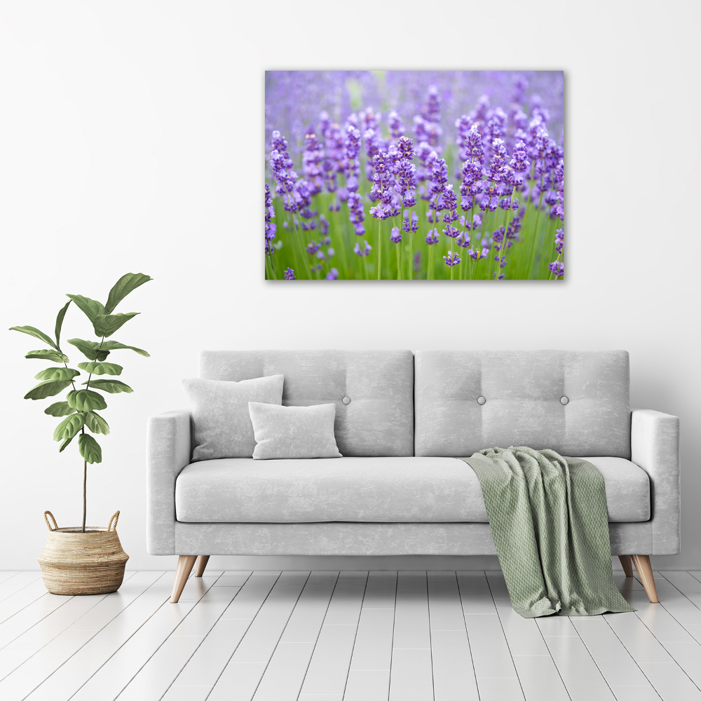 Wall art on glass Lavender