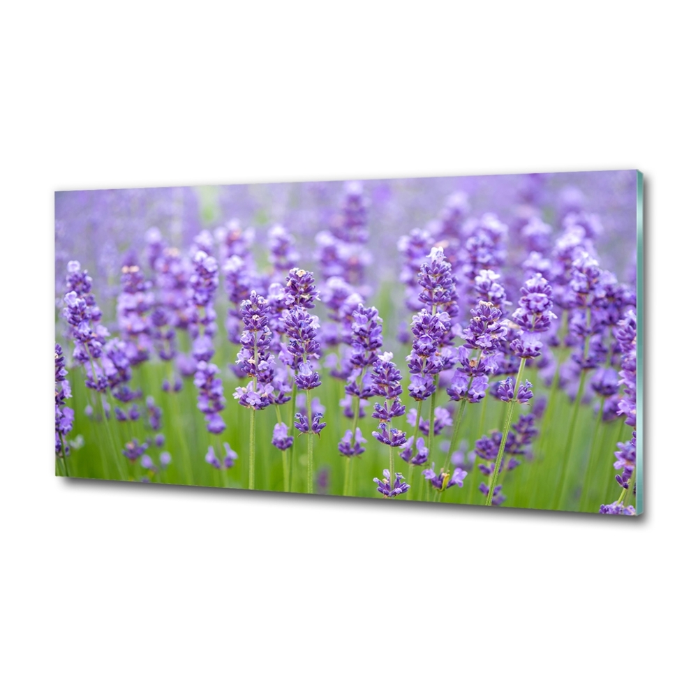 Wall art on glass Lavender