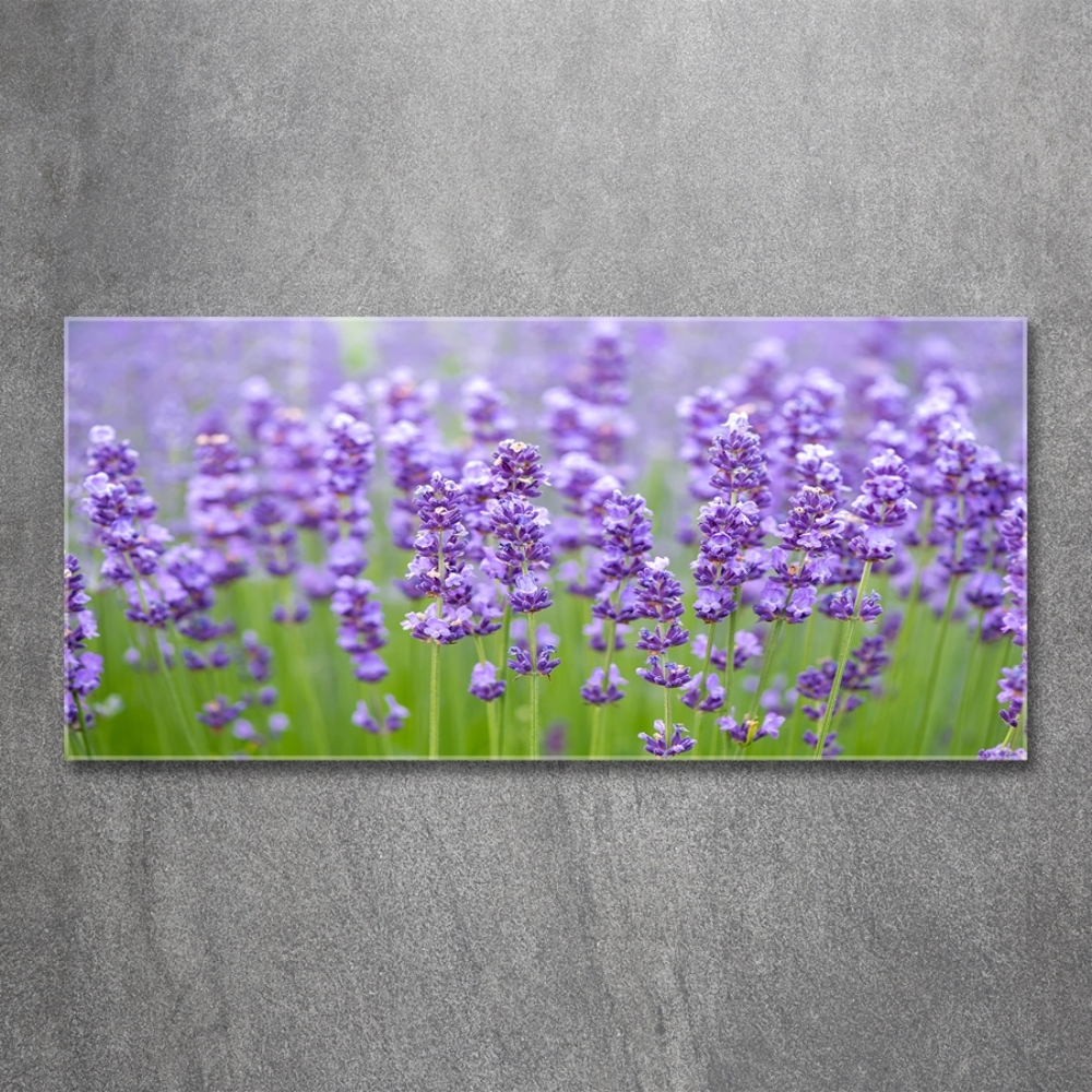 Wall art on glass Lavender