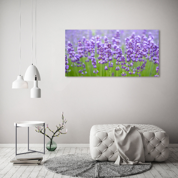 Wall art on glass Lavender