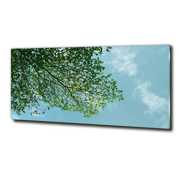 Glass wall art large Leaves in the sky