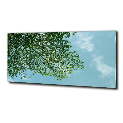 Glass wall art large Leaves in the sky