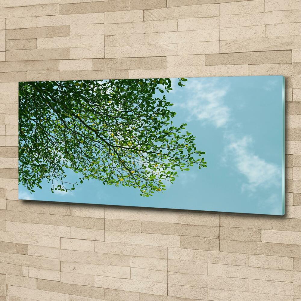 Glass wall art large Leaves in the sky