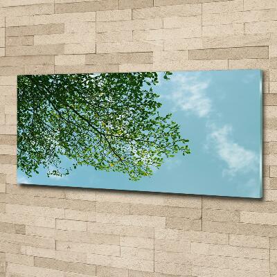 Glass wall art large Leaves in the sky