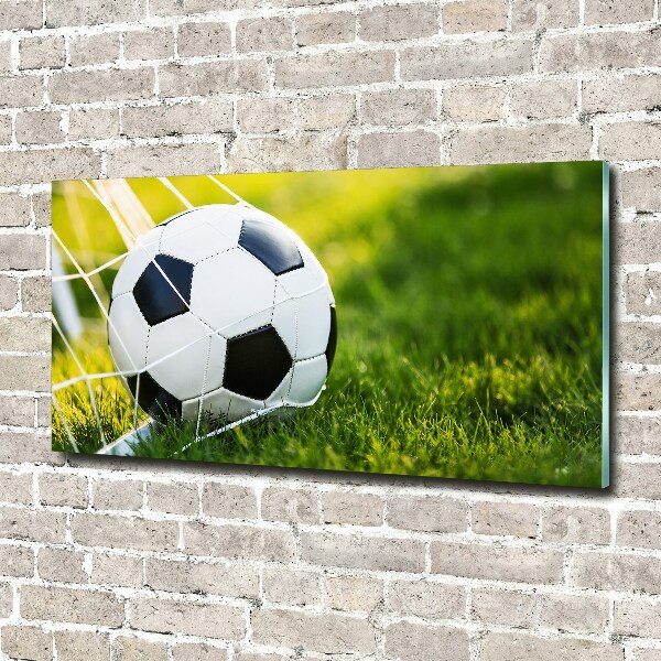 Wall art on glass Ball in the goal