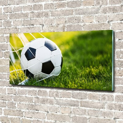 Wall art on glass Ball in the goal