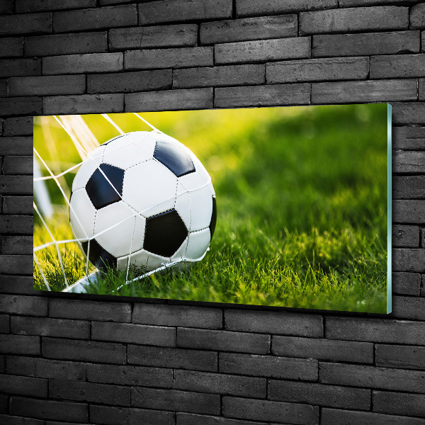 Wall art on glass Ball in the goal