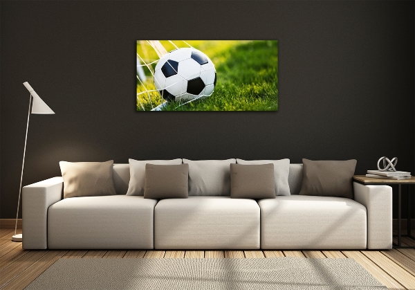 Wall art on glass Ball in the goal