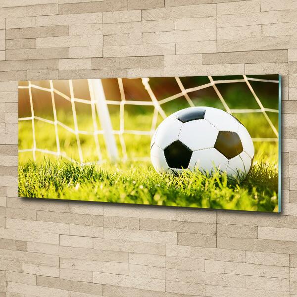 Wall art on glass Ball in the goal