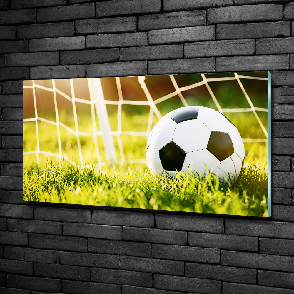 Wall art on glass Ball in the goal