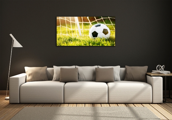 Wall art on glass Ball in the goal