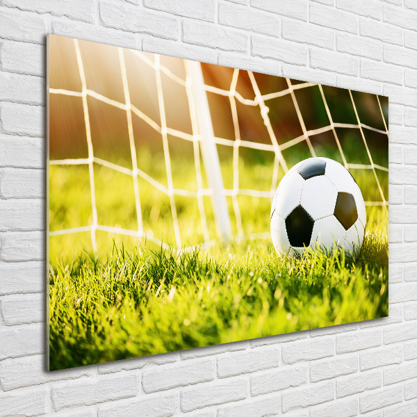 Wall art on glass Ball in the goal