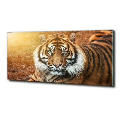 Wall art on glass Bengal tiger