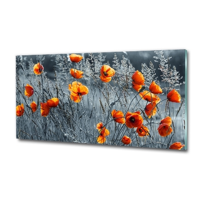 Glass wall art Field poppy seed