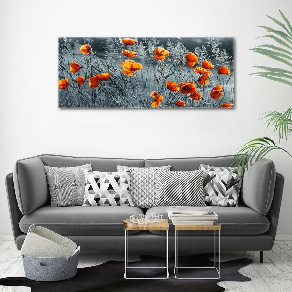 Glass wall art Field poppy seed