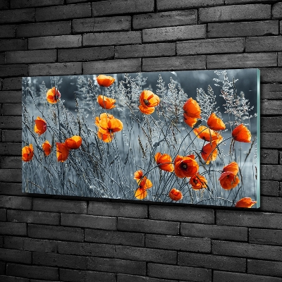 Glass wall art Field poppy seed