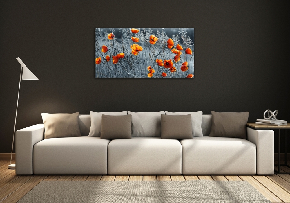 Glass wall art Field poppy seed