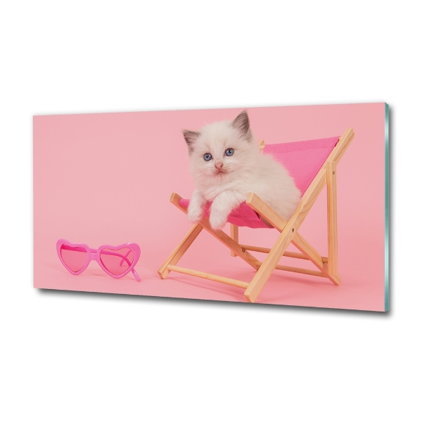 Cat on a sun lounger