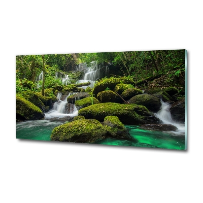 Glass picture print Waterfall in the forest