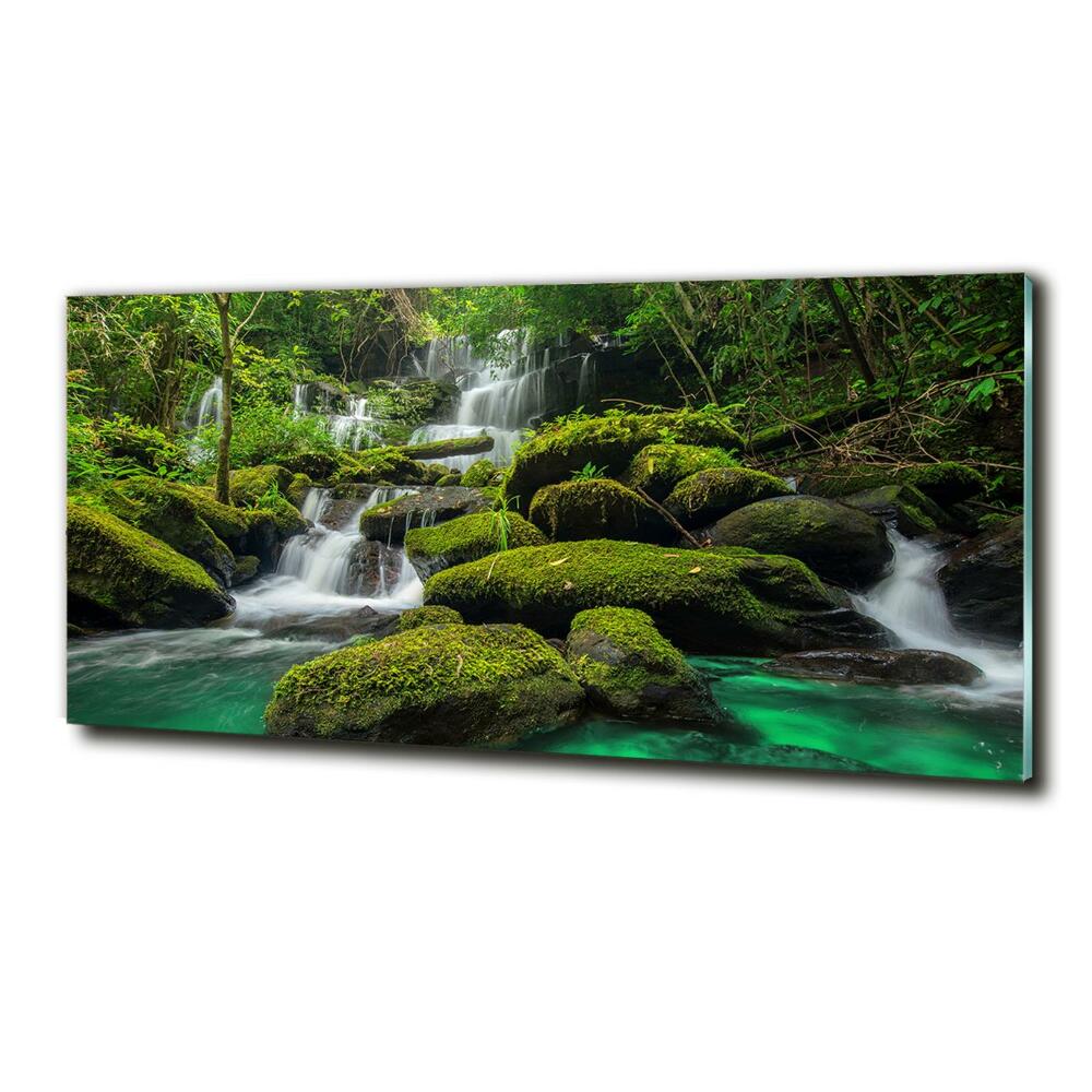 Glass picture print Waterfall in the forest