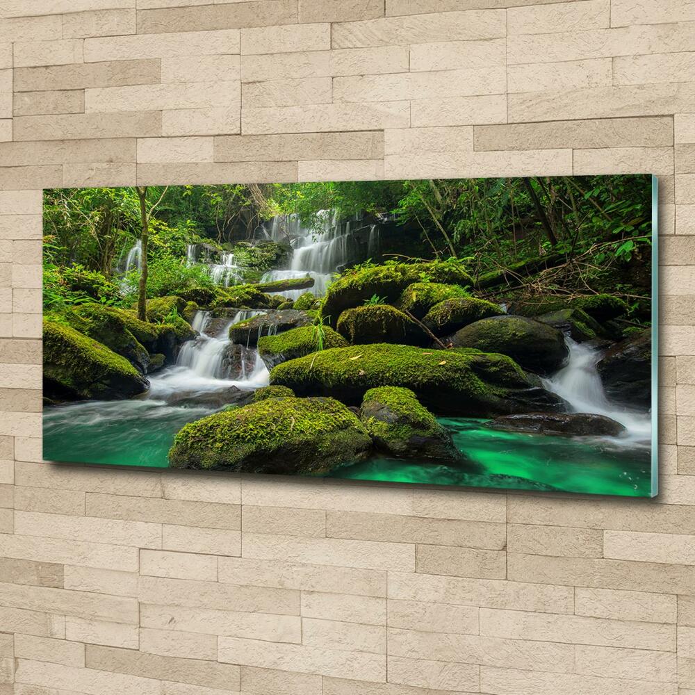 Glass picture print Waterfall in the forest