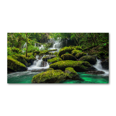 Glass picture print Waterfall in the forest