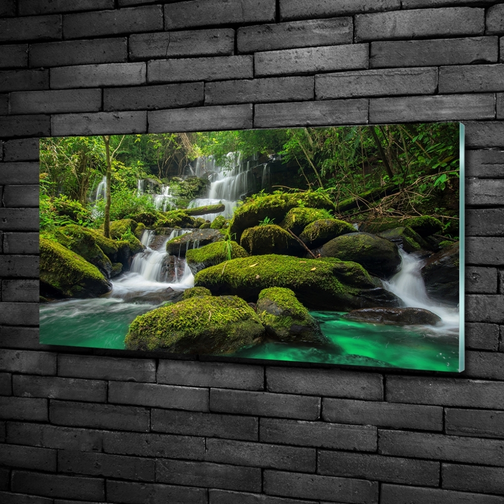 Glass picture print Waterfall in the forest