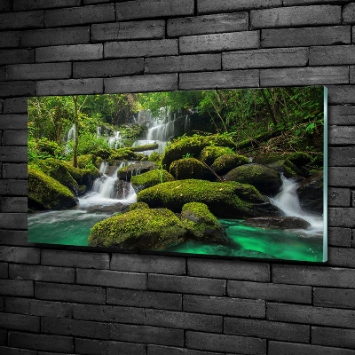 Glass picture print Waterfall in the forest