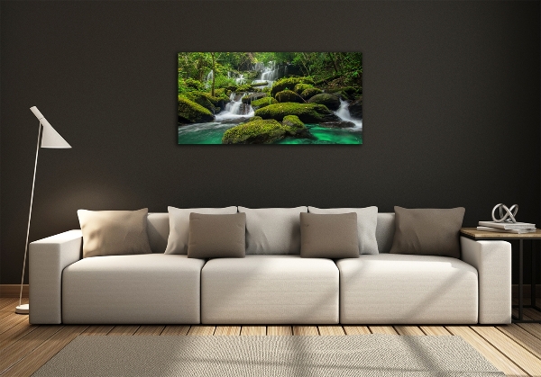 Glass picture print Waterfall in the forest