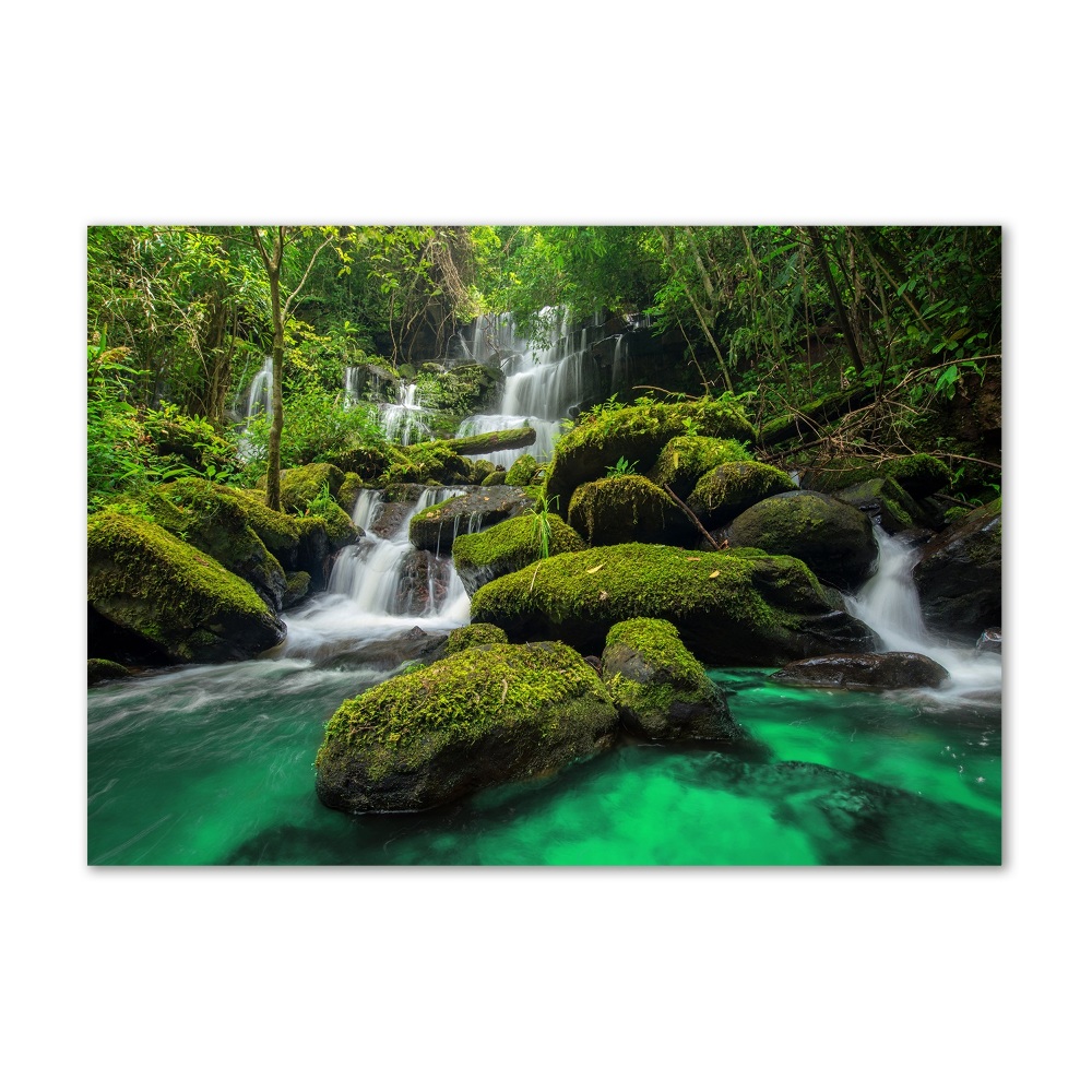 Glass picture print Waterfall in the forest