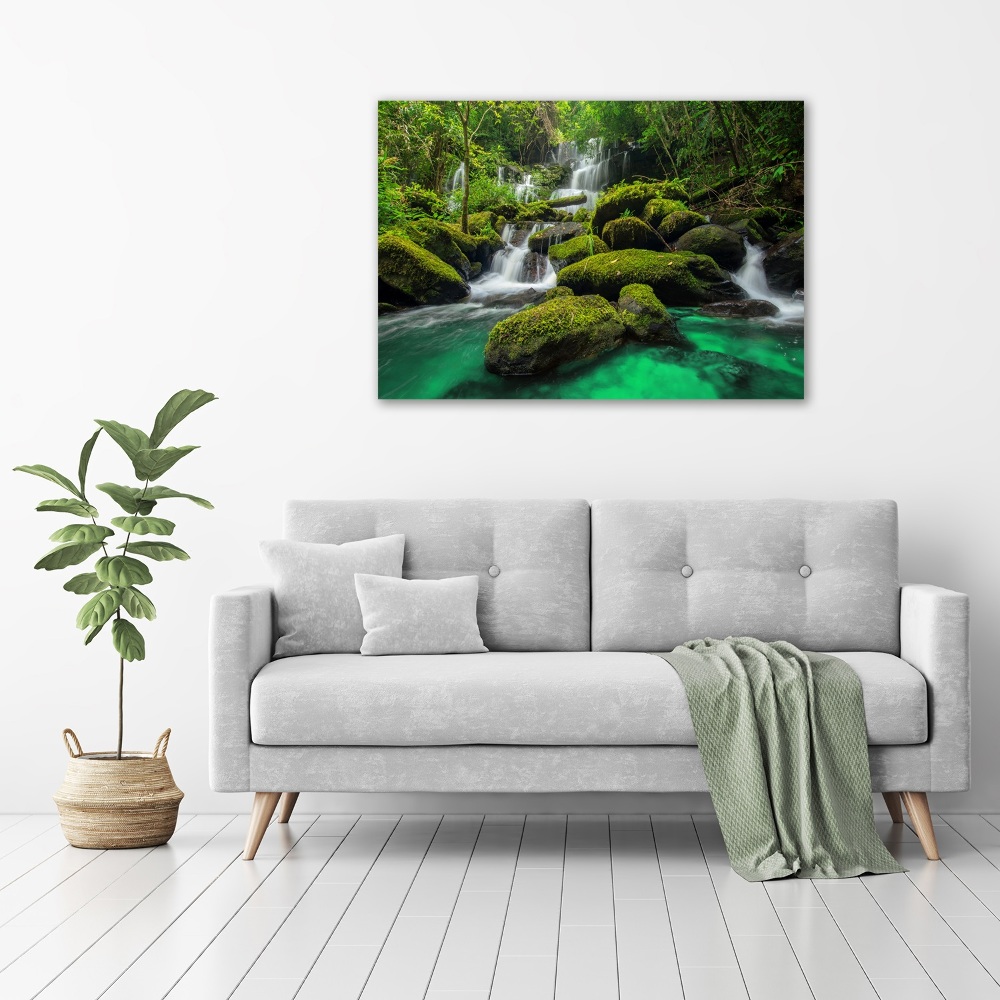 Glass picture print Waterfall in the forest