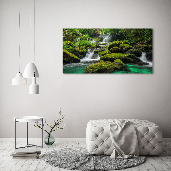 Glass picture print Waterfall in the forest