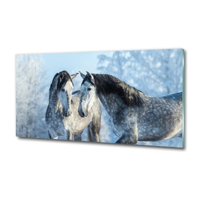 Glass wall art Gray horses in winter