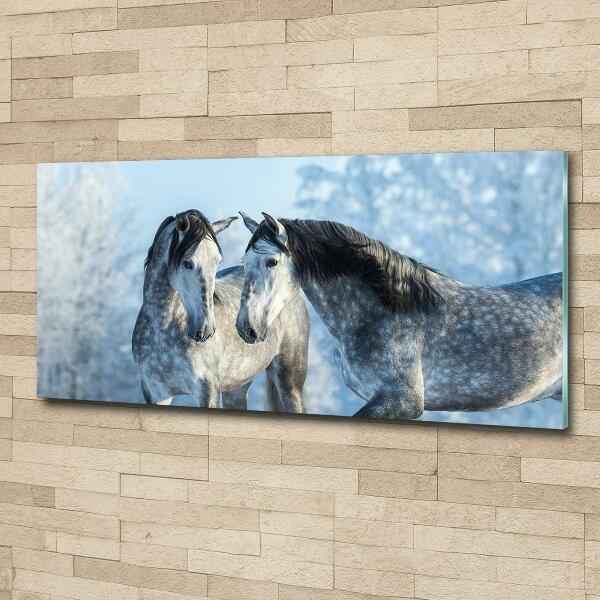 Glass wall art Gray horses in winter