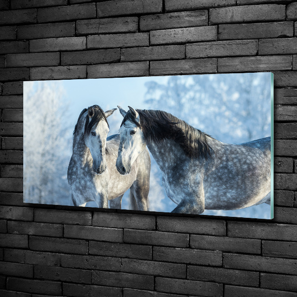 Glass wall art Gray horses in winter