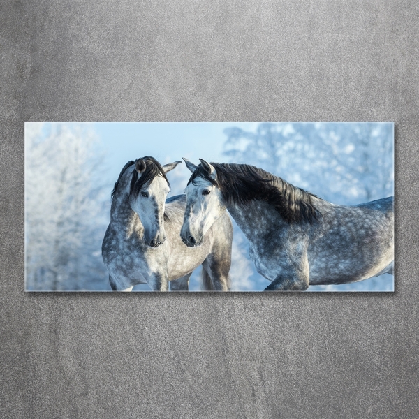 Glass wall art Gray horses in winter