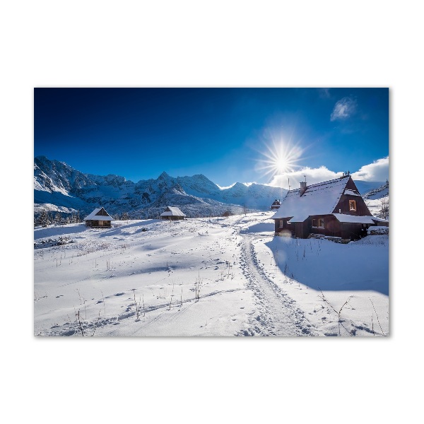 Wall art on glass Tatra halls