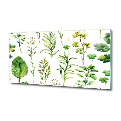 Glass picture wall art Herbs and weeds