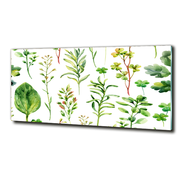 Glass picture wall art Herbs and weeds