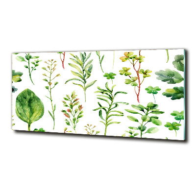 Glass picture wall art Herbs and weeds