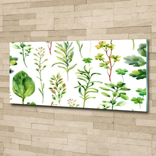 Glass picture wall art Herbs and weeds