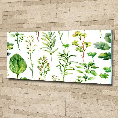 Glass picture wall art Herbs and weeds